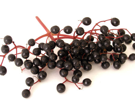 elder        