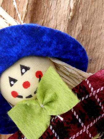 scarecrow        の写真素材