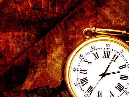 fall     の写真素材