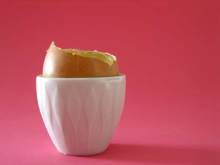 egg         の写真素材