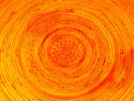 roundの写真素材