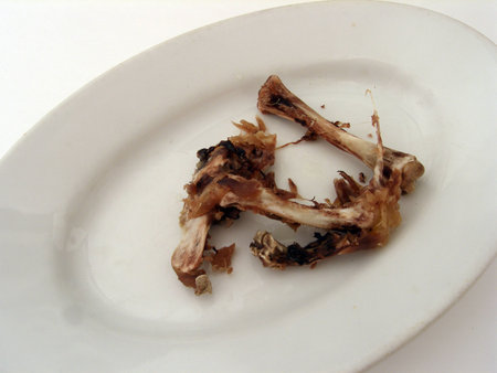 chicken