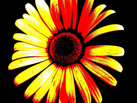 flower 