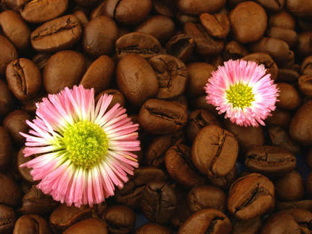 coffee         の写真素材