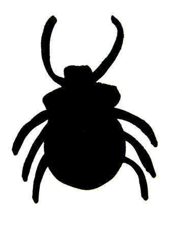 tick    の写真素材