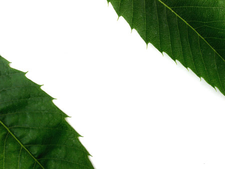 frameの写真素材