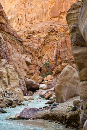 Wadi Zarqa trail near Dead sea - canyoning - Jordanの写真素材