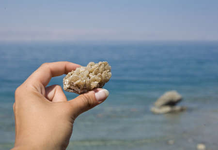 Crystal of the salt in the stone - Dead sea - Jordanの写真素材
