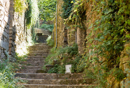 Stairs in Casal Novo, schist village in Portugal