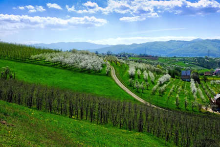 Rural landscape with fields and mountainsの写真素材