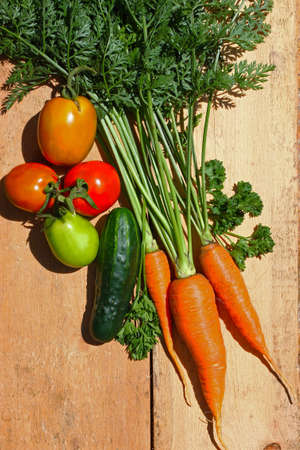 Fresh garden grown vegetables on wooden boardの写真素材