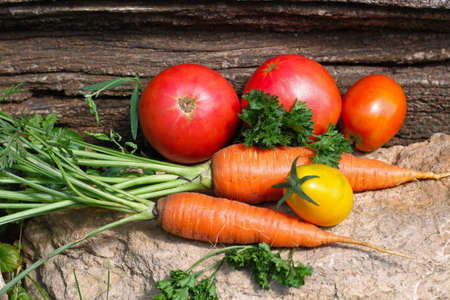 Fresh organic vegetables cultivated in garden lying on stoneの写真素材