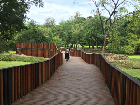 walk wayの写真素材