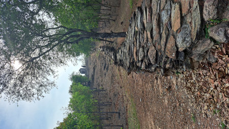 Stone stairs in the forest. Photo taken in Shenzhen, China.の写真素材