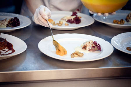 meat dish with sauce, salad and garnish, cooking processの写真素材