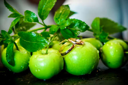 wedding rings on apples, sprig of mint, closeupの写真素材