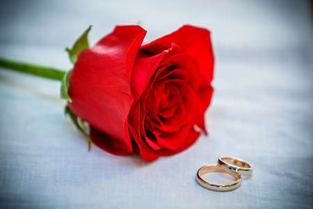 wedding rings next to the red rose, closeupの写真素材