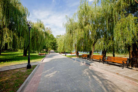 alley a public park, accomplishment of territoryの写真素材