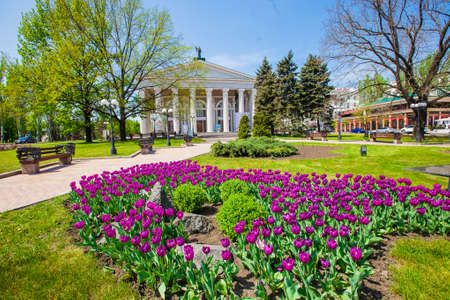 Flower bed with purple tulips in in front of the theatre, elements of urban infrastructure, shot in Donetsk, Ukraine, May 2013のeditorial素材