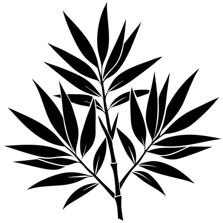 Bamboo leaves isolated on white background. Black and white vector illustration.のイラスト素材