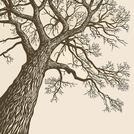 Mexican man with hat in the meadow vector illustration graphic designのイラスト素材