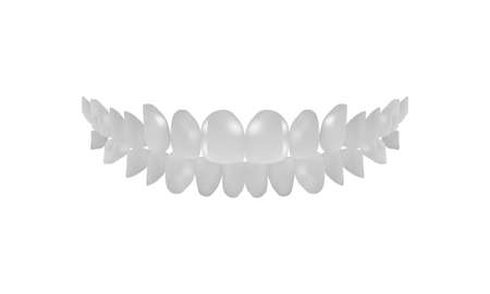 Teeth model graphic. Vctor eps10.のイラスト素材