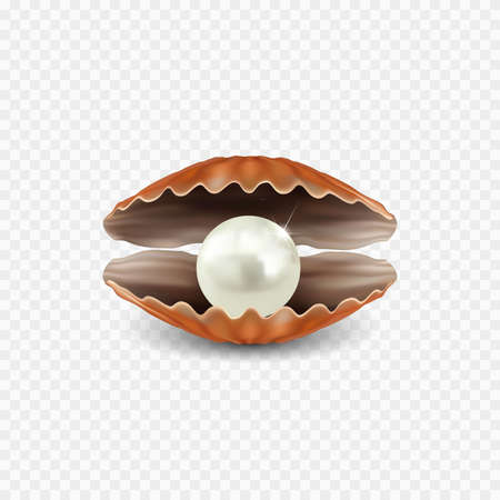 Vector realistic beautiful 3D opened shell with shining pearl inside isolated on transparent background.のイラスト素材