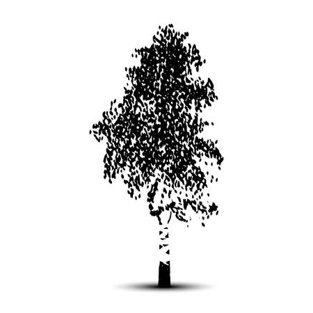 Silhouette detached tree birch with leaves on a white backgroundのイラスト素材