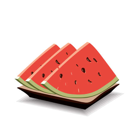 Abstract chunks of watermelon, on a tray, with an abstract shadow.のイラスト素材