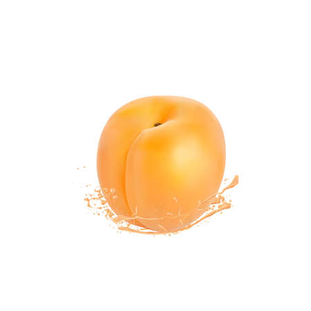 Realistic splash of juice with apricot. Template for your design. Vector eps10.のイラスト素材
