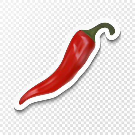 Realistic red chilli pepper icon isolated on transparent background.のイラスト素材