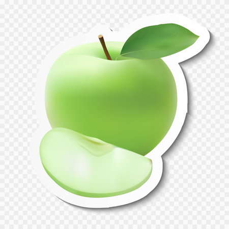 Realistic green apple with slice and leaf. Apple on paper with shadow.のイラスト素材