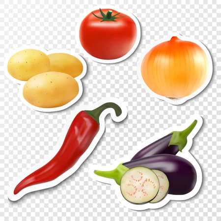 Colourful collection of vegetables on a transparent background in realistic style. Tomato, potatoes, onions, eggplant, peppers, on paper with shadow. Flat symbol. Vector simbol eps10.のイラスト素材