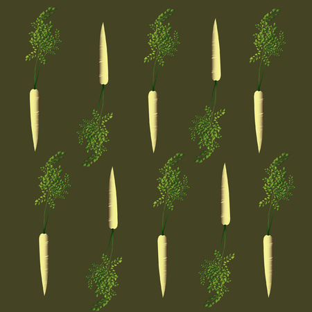 Illustration of carrotsのイラスト素材