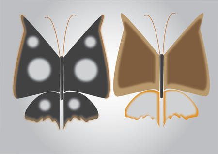 Vector of butterfliesのイラスト素材