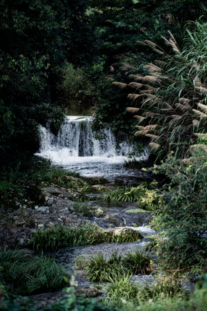 Stone and water, the water of mountain spring is flowing continuously