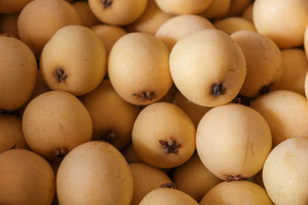 Many close ups of golden loquatsの写真素材