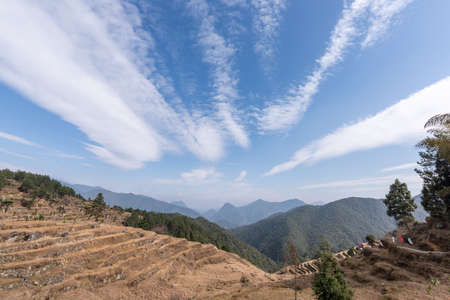 In autumn, crops and weeds in rural fields wither and yellow, and the sky is very blueの写真素材