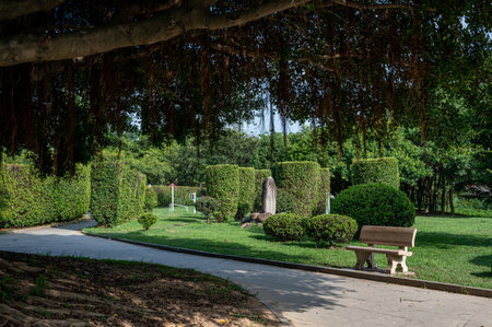 There are green trees and grass on both sides of the roadの写真素材