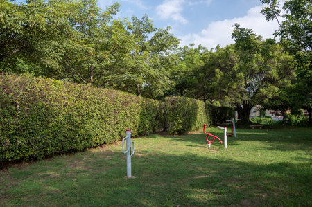 Fitness equipment on the grass in the parkの写真素材