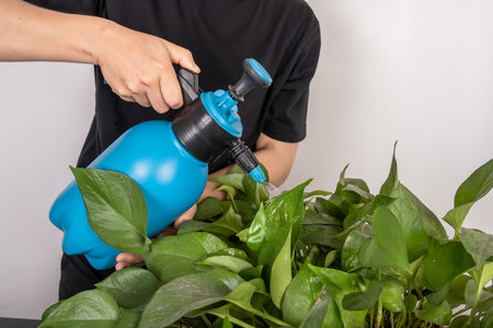 Water the green plants with a watering canの写真素材