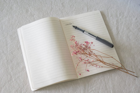 Write hello on the page of the diary