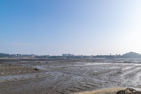 Under the blue sky, the lines and textures of bamboo rafts and ropes in the seaweed farm on the...