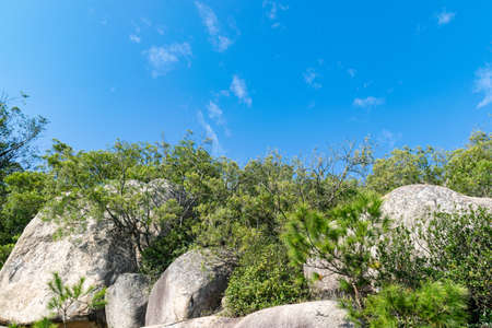 Desolate mountains, many grotesque large stones and few plantsの写真素材