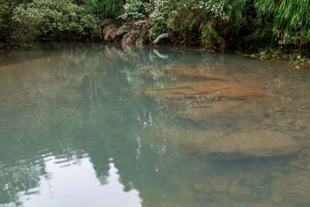 The stream in the primeval forest is very flat and clearの写真素材