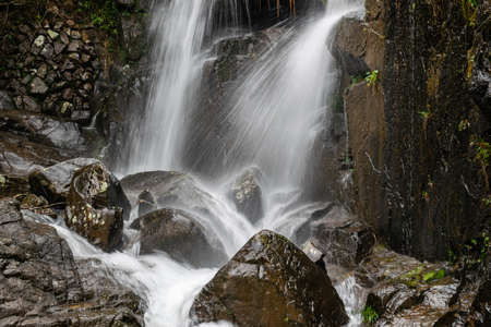 There are small waterfalls in the primeval forest. The water is very clearの写真素材