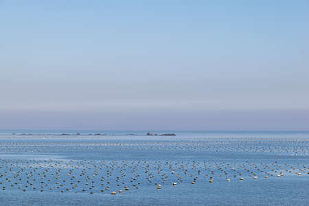 The sea is full of water in the middle of the sea and some islands and reefsの写真素材