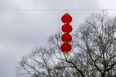 Some dead trees hang lanterns in the cityの写真素材