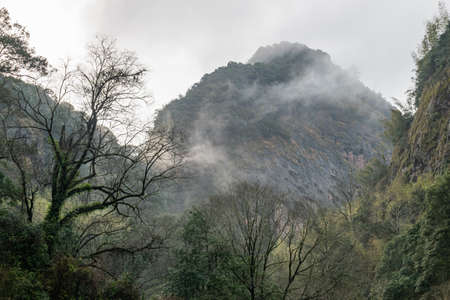 The mountains are covered with forestsの写真素材