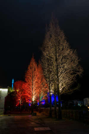 At night, the trees are decorated with lights to look like festivalsの写真素材